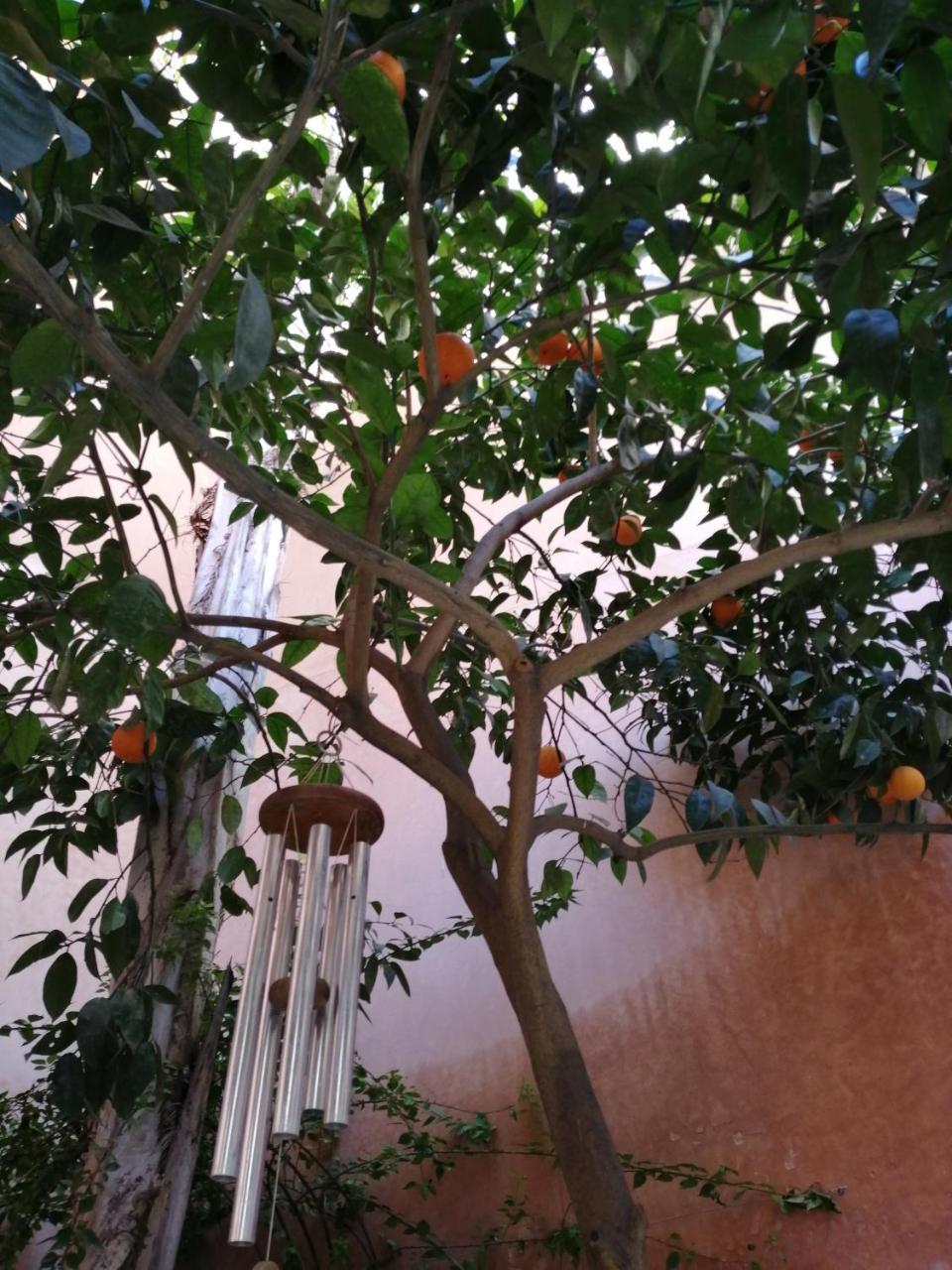 Les Bains De Fez Tara Bed & Breakfast Екстериор снимка
